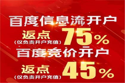 某电商平台的SEM推广策略——代运营公司的实践